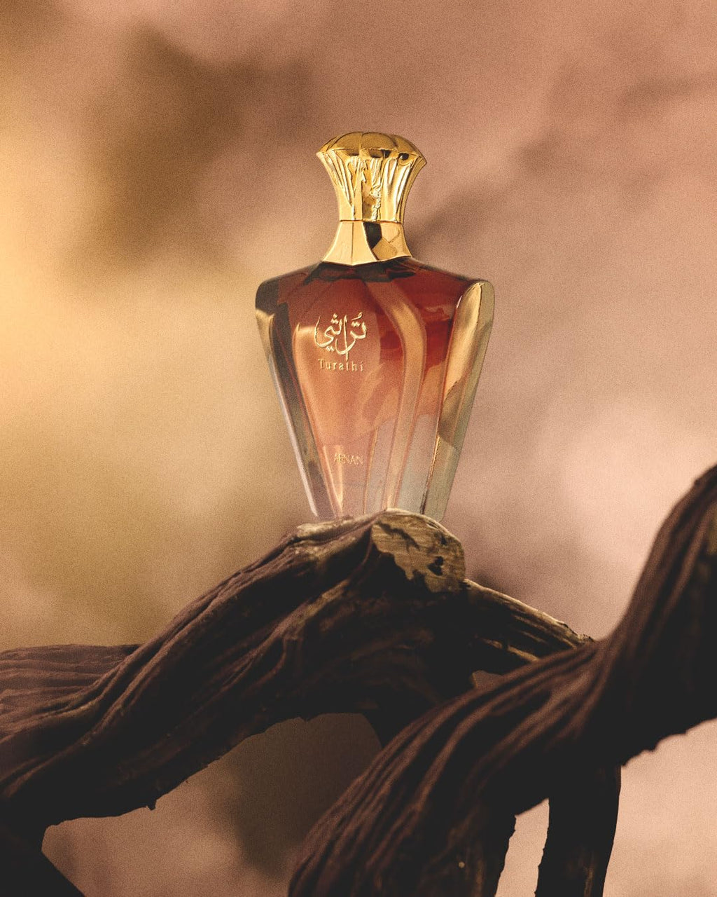 AFNAN Turathi Brown Men Perfume 3.0oz / 90ml – Eau de Parfum