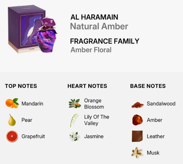 A fragrance information graphic for AL HARAMAIN Natural Amber, showing a purple perfume bottle and box on a light gray background, with top notes (Mandarin, Pear, Grapefruit), heart notes (Orange Blossom, Lily Of The Valley, Jasmine), and base notes (Sandalwood, Amber, Leather, Musk) listed below.