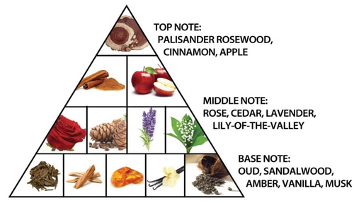 A triangular fragrance pyramid diagram on a white background, with labeled notes for top, middle, and base notes and small ingredient photos including rose, cinnamon, apple, lavender, pinecone, and amber.