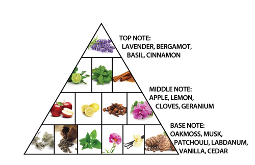 A pyramid-style note pyramid diagram showing fragrance ingredients grouped by scent layers: top note lavender, bergamot, basil, and cinnamon; middle note apple, lemon, cloves, and geranium; base note oakmoss, musk, patchouli, labdanum, vanilla, and cedar, with text labels on a white background.