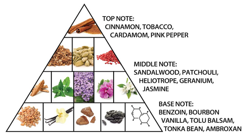 A triangular pyramid diagram showing fragrance notes at different levels: top note includes cinnamon, tobacco, cardamom, and pink pepper; middle note includes sandalwood, patchouli, heliotrope, geranium, and jasmine; base note includes benzoin, bourbon vanilla, tolu balsam, tonka bean, ambroxan, plus botanical and chemical illustrations.