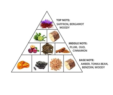 A triangular note pyramid diagram on a white background listing fragrance notes by layer: top note saffron, bergamot, and woody; middle note plum, oud, and cinnamon; base note amber, tonka bean, benzoin, and woody.