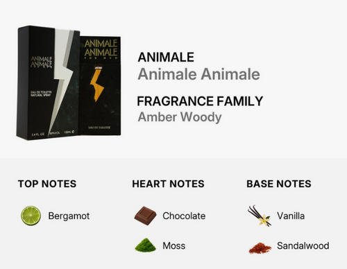 Fragrance packaging for Animale Animale by Animale Animali, shown alongside a scent notes breakdown. The product box is black with gold lettering and a white lightning bolt graphic.