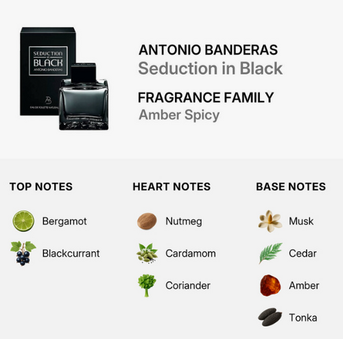 Antonio Banderas 'Seduction in Black' fragrance, showing the black bottle and box on a light gray background, with text describing the amber spicy scent and a breakdown of top, heart, and base notes including bergamot, blackcurrant, nutmeg, cardamom, coriander, musk, cedar, amber, and tonka.