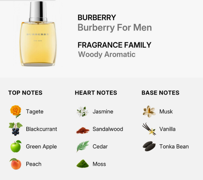 Burberry Classic For Men Woody Aromatic fragrance infographic showing a small clear bottle with pale golden liquid, plus a breakdown of top notes (Tagete, Blackcurrant, Green Apple, Peach), heart notes (Jasmine, Sandalwood, Cedar, Moss), and base notes (Musk, Vanilla, Tonka Bean) on a light gray background.