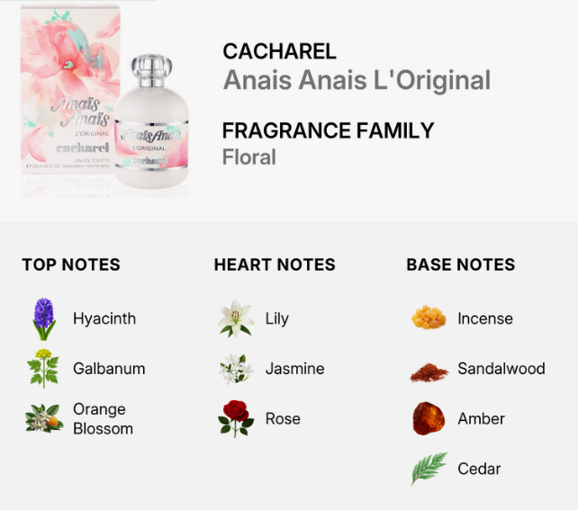 Cacharel Anais Anais L'Original fragrance family floral note chart showing the perfume bottle and box on the top, with top notes (Hyacinth, Galbanum, Orange Blossom), heart notes (Lily, Jasmine, Rose), and base notes (Incense, Sandalwood, Amber, Cedar) listed below.