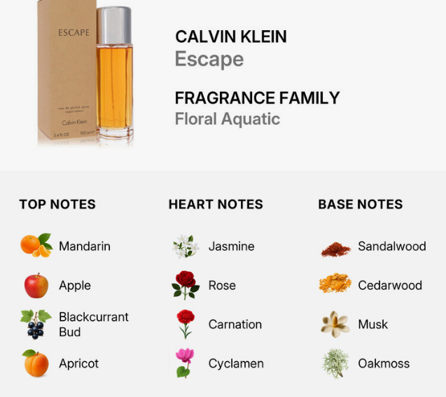 Calvin Klein Escape fragrance family graphic showing a perfume bottle and box next to scent notes labeled Top Notes, Heart Notes, and Base Notes.