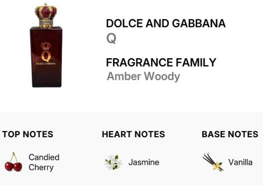 Dolce and Gabbana Q Fragrance Family Amber Woody perfume bottle with scent notes including Canded Cherry, Jasmine, and Vanilla.