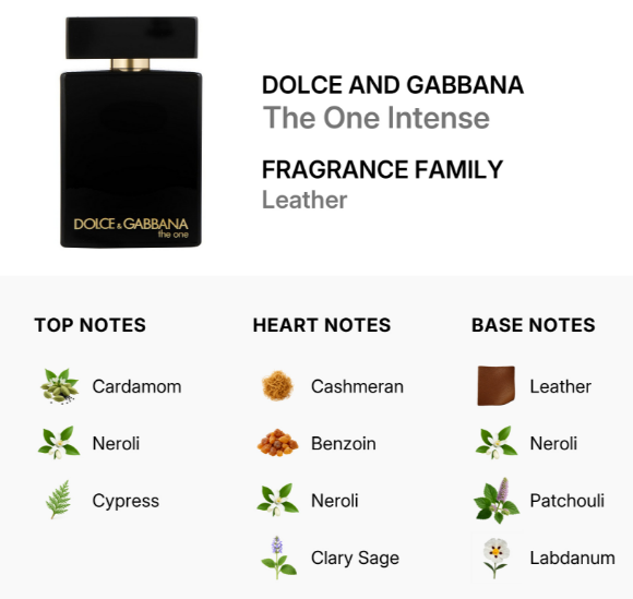 Fragrance family infographic for Dolce and Gabbana The One Intense Leather, showing the black perfume bottle and notes: top notes Cardamom, Neroli, Cypress; heart notes Cashmeran, Benzoin, Neroli, Clary Sage; base notes Leather, Neroli, Patchouli, Labdanum.