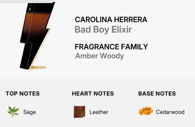 A fragrance product card for Carolina Herrera Bad Boy Elixir, Fragrance Family Amber Woody. The graphic shows a black and amber bottle with a gold base on a light gray background, with text listing top notes as Sage, heart notes as Leather, and base notes as Cedarwood.