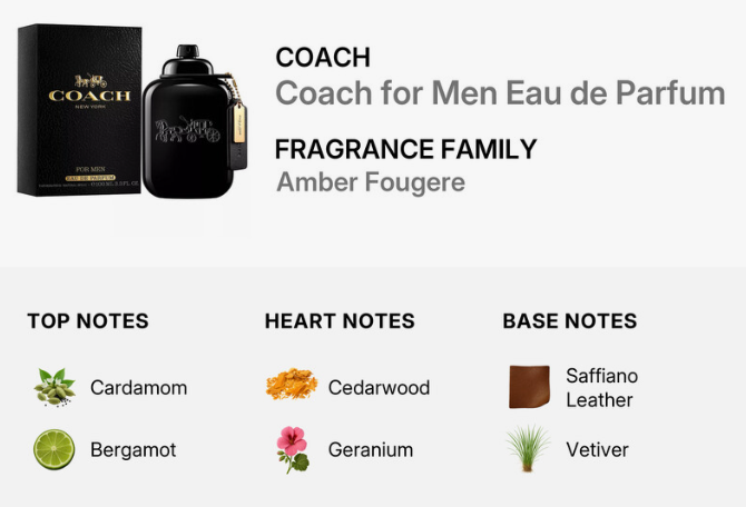 Coach for Men Eau de Parfum in Amber Fougere, featuring a black bottle and its black packaging box on the top left, with fragrance notes listed below on a light gray background.