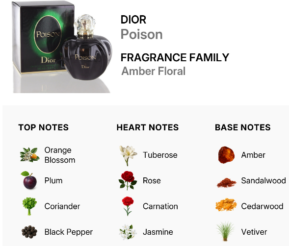 Dior Poison fragrance family amber floral graphic showing the perfume bottle and box on a white background, with top notes, heart notes, and base notes listed below.
