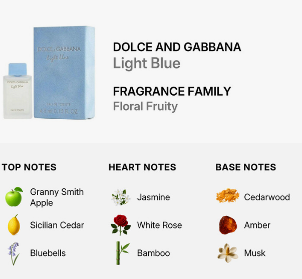 Dolce and Gabbana Light Blue fragrance infographic showing the bottle and box, with text describing the scent family and a notes section listing Granny Smith Apple, Sicilian Cedar, Bluebells, Jasmine, White Rose, Bamboo, Cedarwood, Amber, and Musk.
