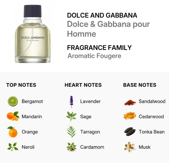 Dolce and Gabbana pour Homme fragrance bottle shown on a white infographic background with text listing top, heart, and base notes including bergamot, mandarin, orange, neroli, lavender, sage, tarragon, sandalwood, cedarwood, tonka bean, and musk.