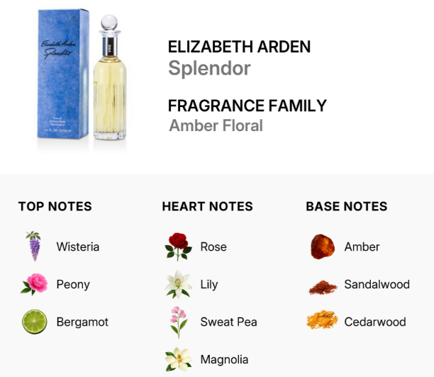 A fragrance information graphic for Elizabeth Arden Splendor. It shows the perfume bottle and blue box on the upper left, with text reading 'ELIZABETH ARDEN Splendor', 'FRAGRANCE FAMILY', and 'Amber Floral'.