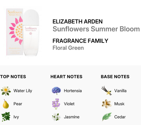 Elizabeth Arden Sunflowers Summer Bloom fragrance information graphic showing the perfume bottle, outer box, and scent notes for Floral Green, with top notes Water Lily, Pear, and Ivy; heart notes Hortensia and Jasmine; base notes Vanilla, Musk, and Cedar.