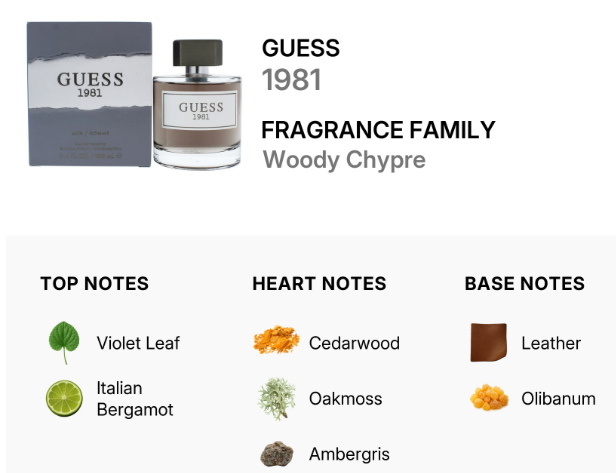 A fragrance information graphic for GUESS 1981, Woody Chypre. It shows the perfume box and bottle at the top, and below it a notes breakdown: top notes Violet Leaf and Italian Bergamot, heart notes Cedarwood, Oakmoss, and Ambergris, and base notes Leather and Olibanum.