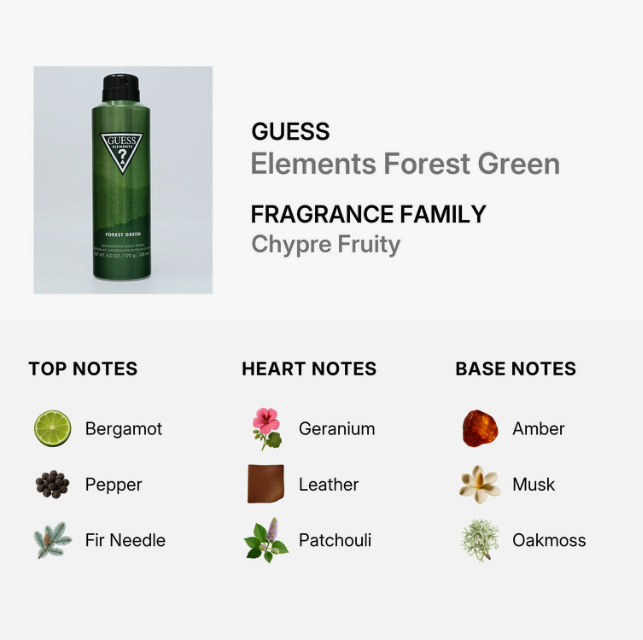 Guess Elements Forest Green fragrance bottle shown next to a notes graphic for Chypre Fruity, with top notes Bergamot, Pepper, and Fir Needle; heart notes Geranium, Leather, and Patchouli; and base notes Amber, Musk, and Oakmoss on a light gray background.