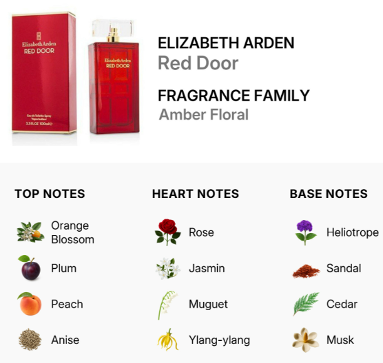 Elizabeth Arden Red Door fragrance information graphic showing the red perfume bottle, its red box, and text identifying the scent as Amber Floral. Below, a notes table lists top notes (Orange Blossom, Plum, Peach, Anise), heart notes (Rose, Jasmin, Muguet, Ylang-ylang), and base notes (Heliotrope, Sandal, Cedar, Musk) with small icons.