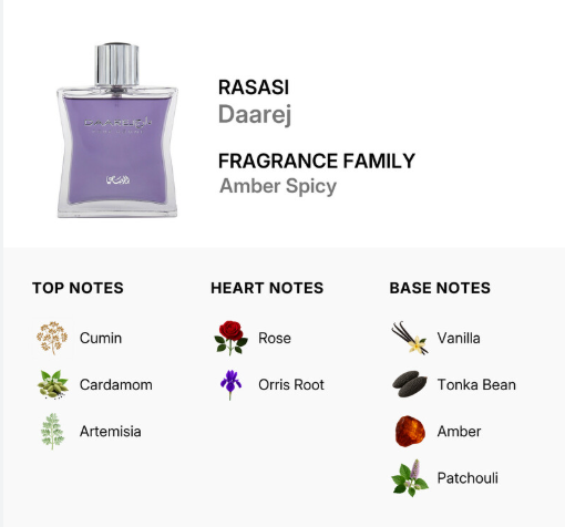 Fragrance information graphic for Rasasi Daarej, showing a purple-tinted perfume bottle and a breakdown of top, heart, and base notes including cumin, cardamom, Artemisia, rose, Orris Root, vanilla, Tonka Bean, amber, and patchouli.