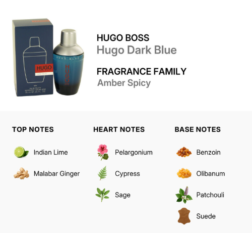 Fragrance information card for Hugo Boss Hugo Dark Blue, showing the product box and bottle, with scent notes labeled Amber Spicy and a breakdown of top, heart, and base notes.