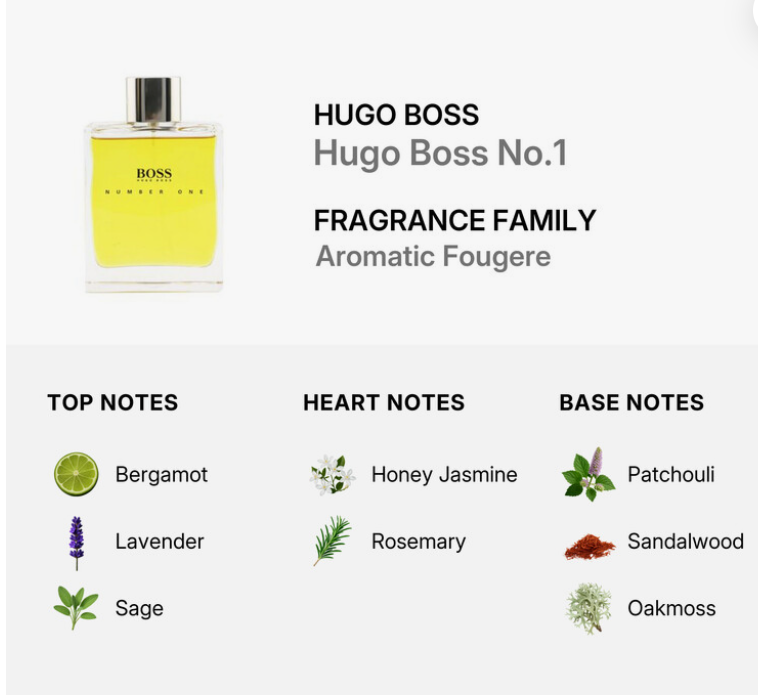 A product information graphic for Hugo Boss No.1 Fragrance Family Aromatic Fougere, showing a small clear perfume bottle with yellow liquid and a silver cap on a white background, with text listing top notes (Bergamot, Lavender, Sage), heart notes (Honey Jasmine, Rosemary), and base notes (Patchouli, Sandalwood, Oakmoss).