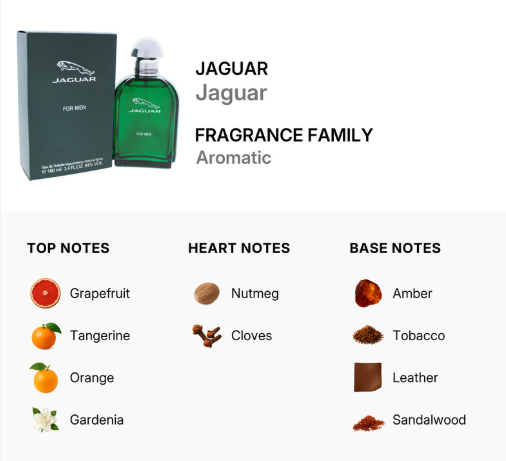 Jaguar fragrance family graphic showing a green Jaguar perfume bottle and its dark gray box, with text identifying the scent as Jaguar and listing top, heart, and base notes including grapefruit, tangerine, orange, nutmeg, cloves, amber, tobacco, leather, and sandalwood.