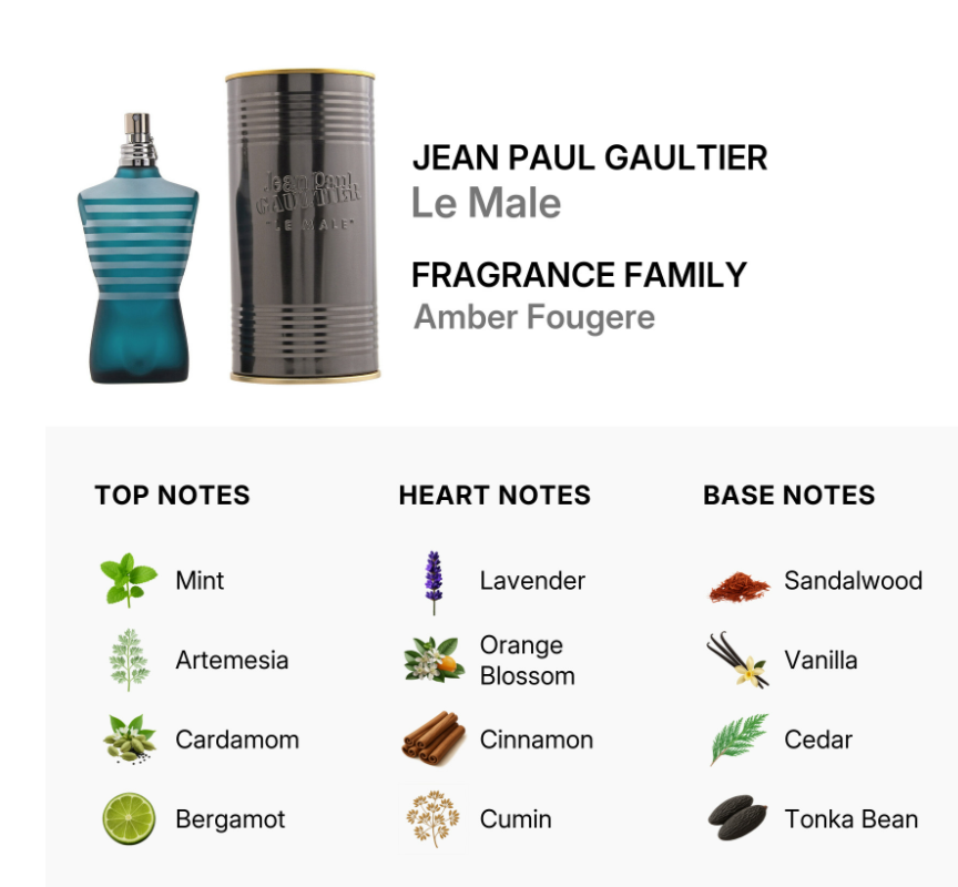 Jean Paul Gaultier Le Male Fragrance Family Amber Fougere infographic showing the blue striped perfume bottle, its black cylinder packaging, and a breakdown of top, heart, and base notes with icons.