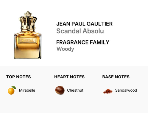 Jean Paul Gaultier Scandal Absolu fragrance bottle shown next to text describing it as a woody fragrance family note profile with top notes Mirabelle, heart notes Chestnut, and base notes Sandalwood.