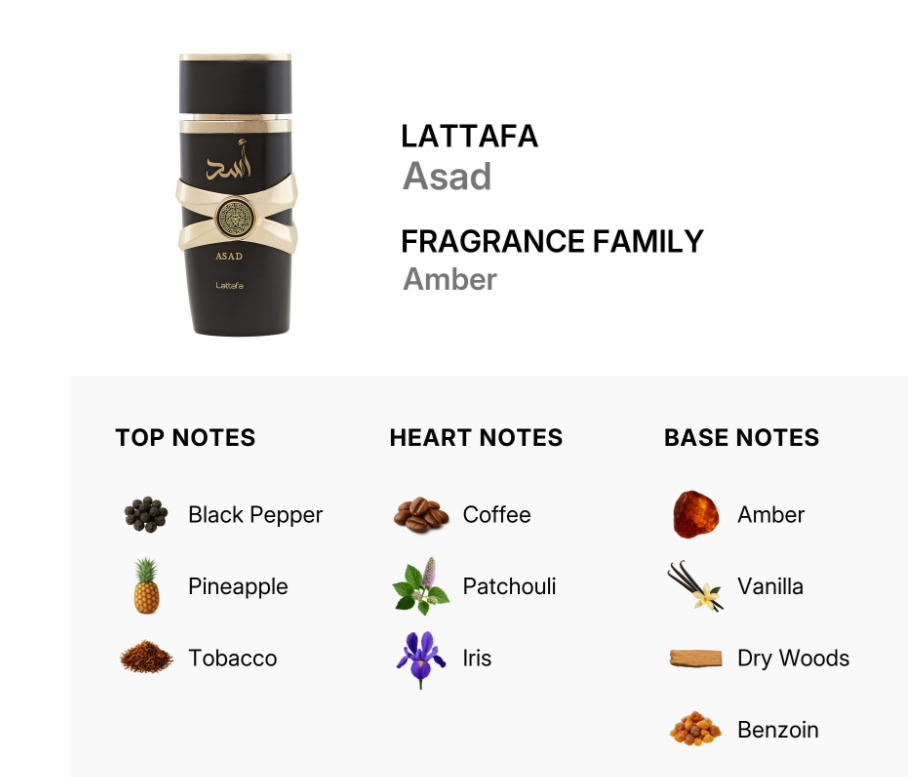 Lattafa Asad Men EDP 100ml bold oriental woody fragrance with citrus aromatic spice deep amber leather dark woods oud dark musk and vetiver