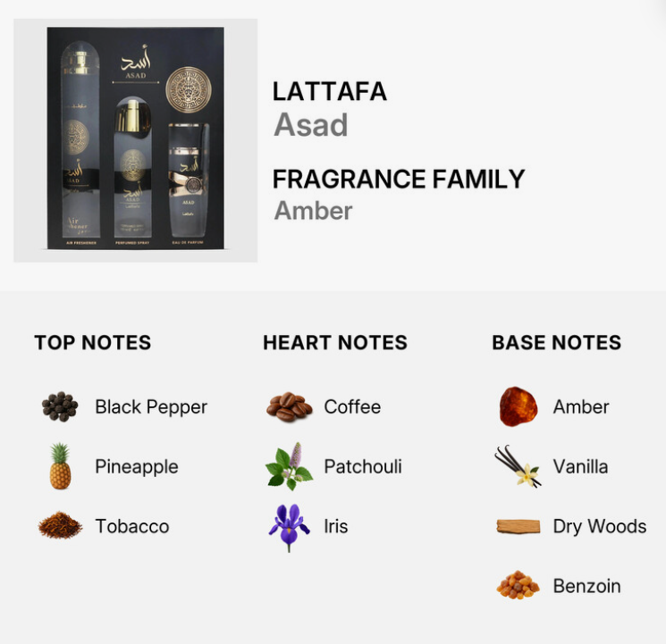 A product information graphic for LATTAFA Asad Fragrance Family Amber. It shows a dark gift box with two tall cylindrical bottles and a small round bottle, alongside a breakdown of scent notes: top notes Black Pepper, Pineapple, Tobacco; heart notes Coffee, Patchouli, Iris; base notes Amber, Vanilla, Dry Woods, Benzoin.