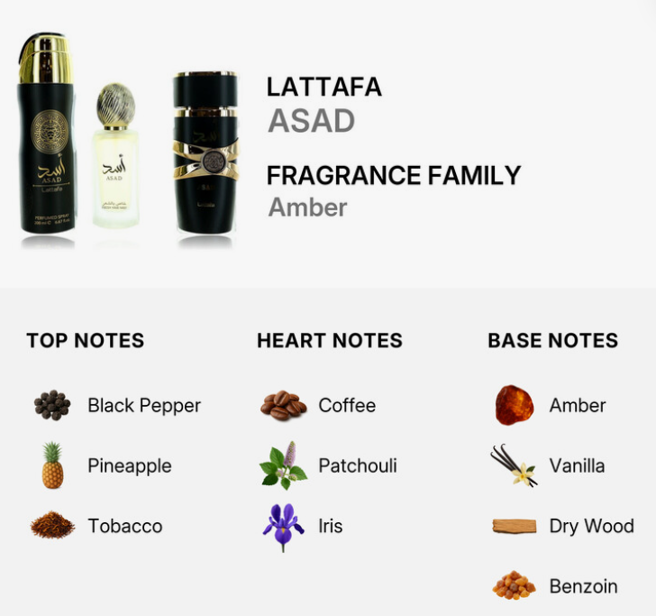 A fragrance notes graphic for LATTAFA ASAD from the Fragrance Family Amber line. It shows three perfume bottle designs at the top and a breakdown of scent notes at the bottom: top notes include Black Pepper, Pineapple, and Tobacco; heart notes include Coffee, Patchouli, and Iris; base notes include Amber, Vanilla, Dry Wood, and Benzoin.