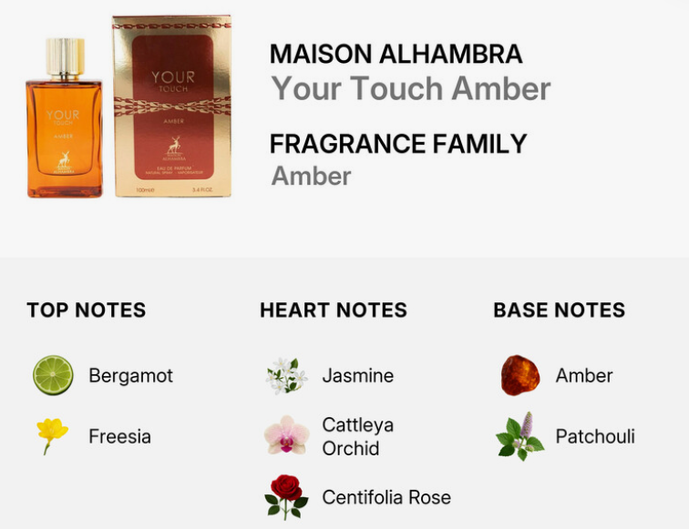 Maison Alhambra Your Touch Amber Unisex Amber fragrance notes top Bergamot Freesia heart Jasmine Cattleya Orchid Centifolia Rose base Amber Patchouli UPC 6290362340973