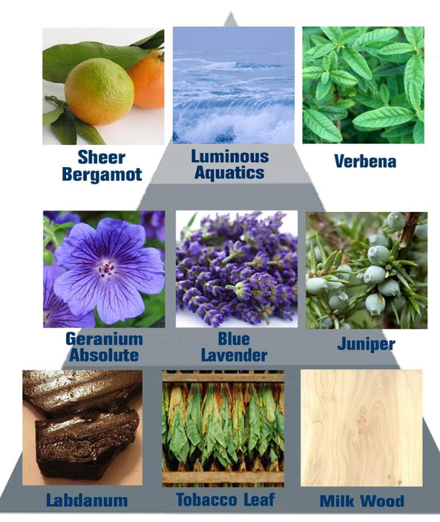 Perry Ellis Aqua Extreme fragrance notes pyramid top notes sheer bergamot luminous aquatics verbena heart geranium absolute blue lavender juniper base labdanum tobacco leaf milk wood UPC 844061015593
Applying now.